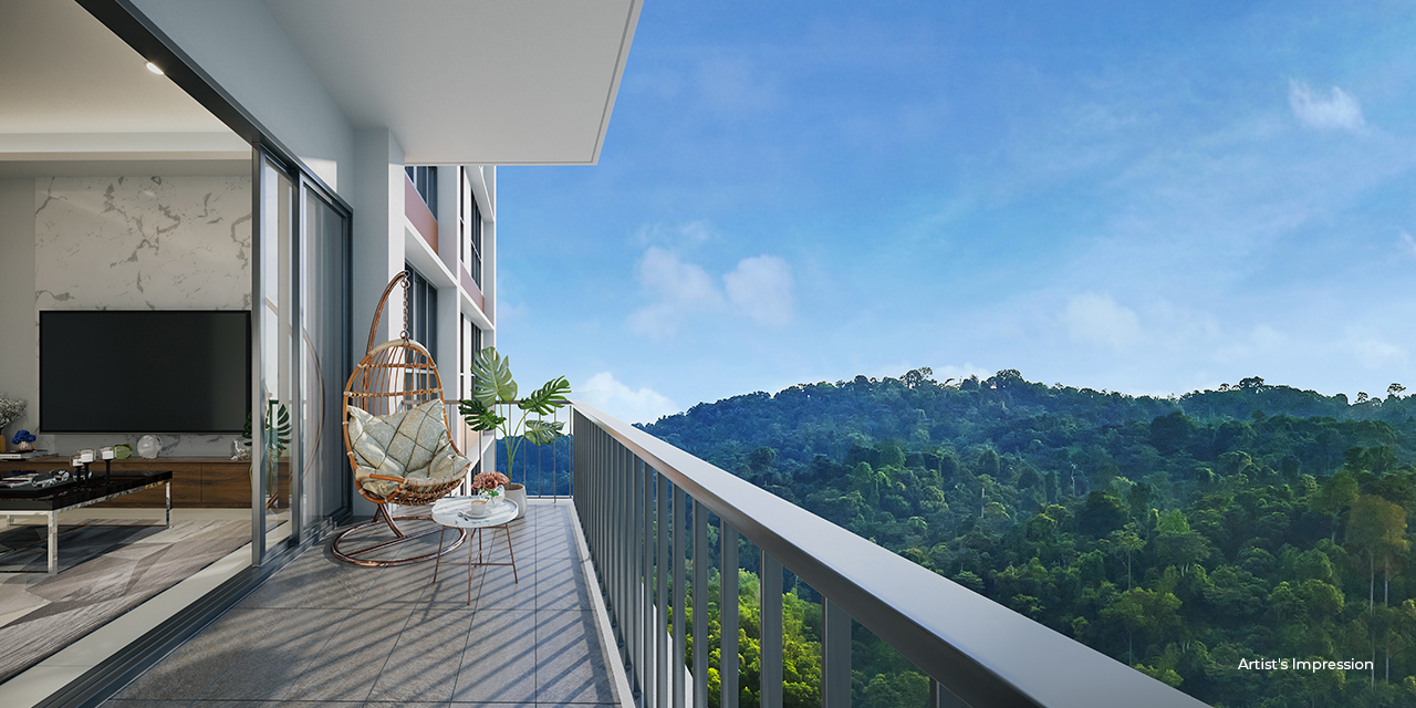 Spectacular Forest View